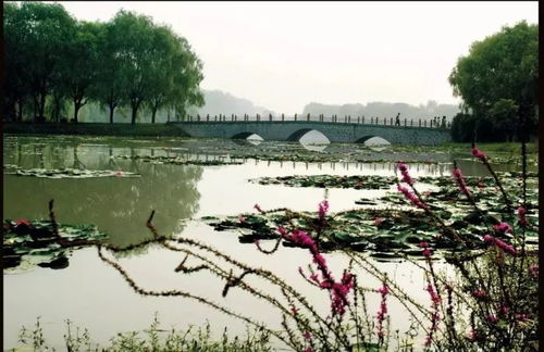 3. 生态园：亲近天然享受生活