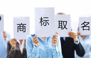 命名技巧实战演练：5步走策略助你轻巧松出手