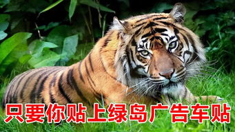 属虎人2026年最大劫难及避凶技巧是什么？