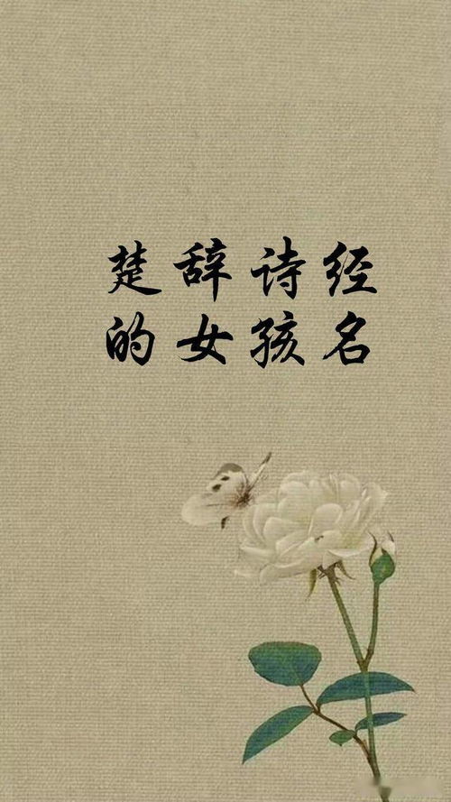 二、“诗经”“楚辞”里的宝藏——从古文中挑选浪漫元素