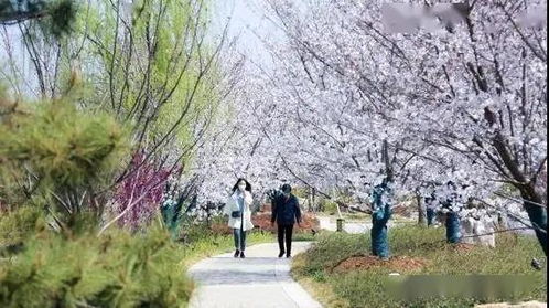 随手写下的小插曲——“鹿园”误入大草原