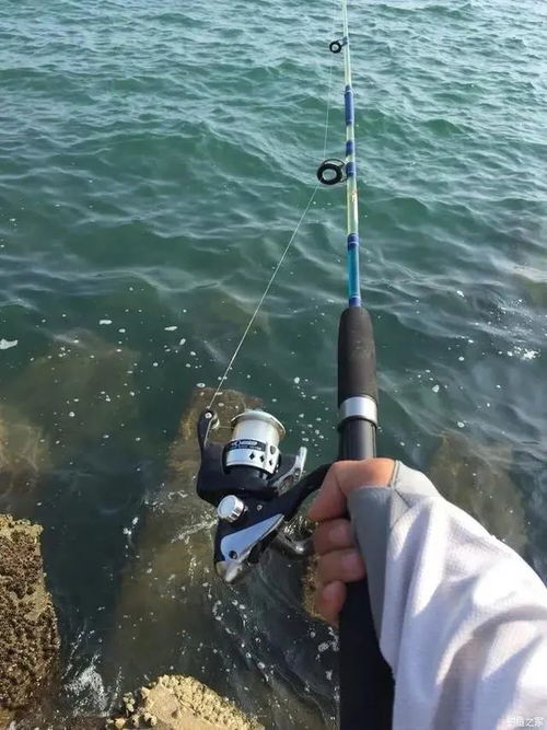 现代科学视角看钓鱼风水