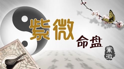 七、财帛宫装印钞机：天上掉馅饼的狗屎运