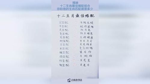 十二生肖中，猴和哪个生肖的婚姻配对最为理想？