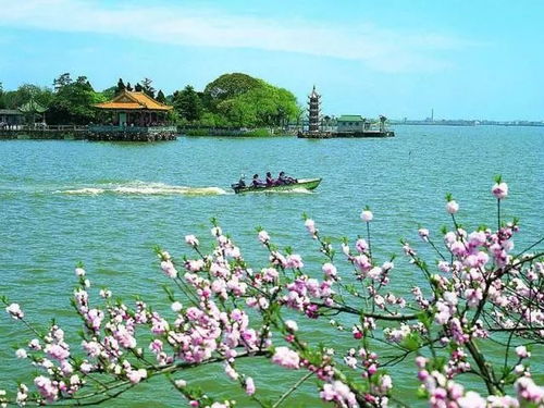 4. 日落美景：蚊子多到爆炸