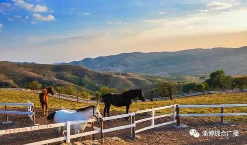 2026年宝鸡旅游黄历