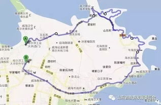 2026年最新玩法！这些项目坑到你哭