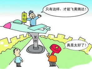 奇怪的摆设——龙龟与金蟾共舞