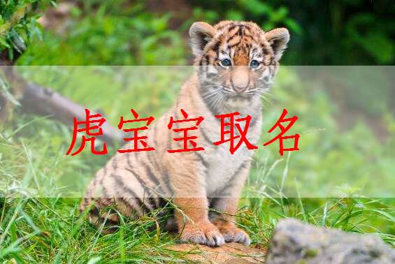 欧阳姓的由来与寓意——（哦，别急着翻书了）