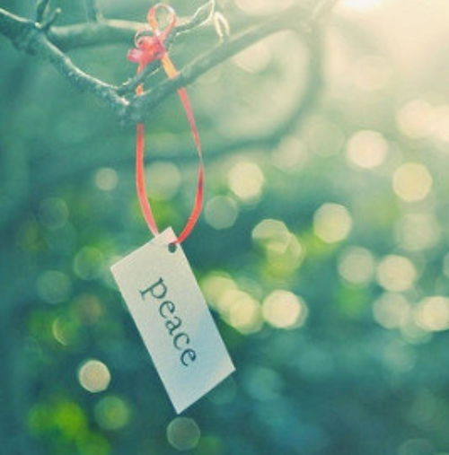 心理学说：你就是个刺猬