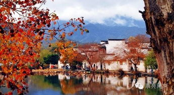 柿林古村的秋天：红柿满山