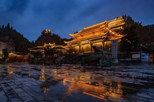 那个夜晚， 月亮像个大烧饼挂在天上