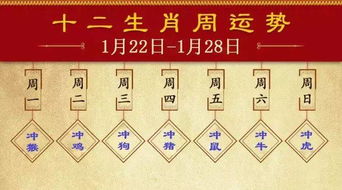 蛇蛇嘶嘶嘶