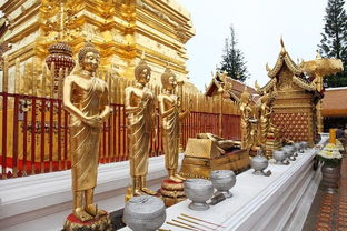 清迈魔幻现实：和尚与网红齐舞