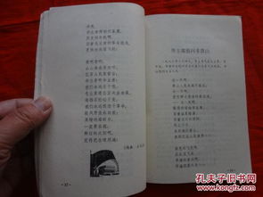 文艺青年必备但可能单身——斐