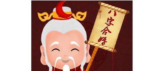 巳时男生和亥时女生八字相配，嫩顺利结婚吗？