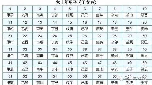 六甲大将的排班表