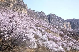 邢台古城， 历史的见证者