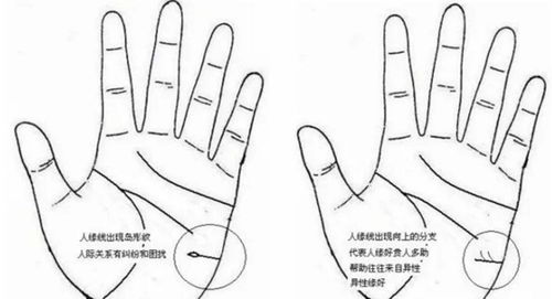 驿马骨：贵人运爆棚的神秘骨骼