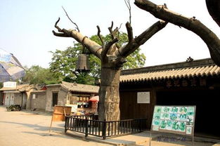 冉庄地道战：感受土豆们的智慧