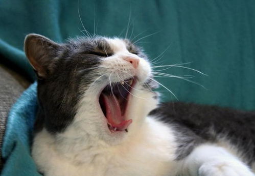 国学中的音律与鬼神