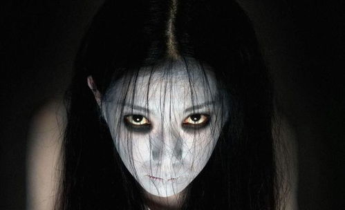 一、倒霉熊的“八卦”属性到底是啥？