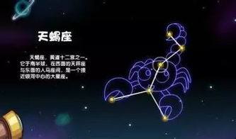 天蝎座男生在爱上一个人后会主动追求并表达爱意吗？