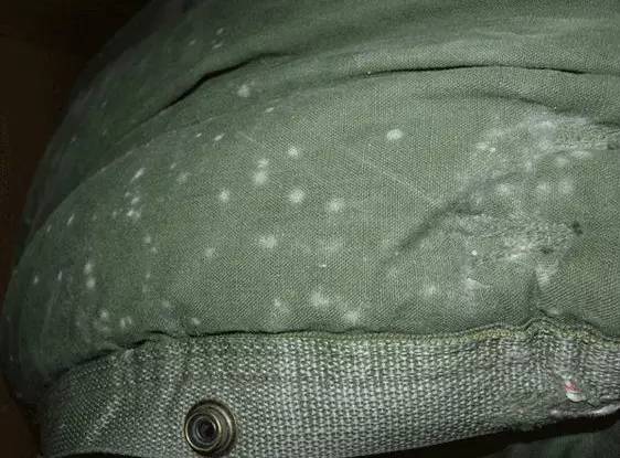 1、像雪一样洁净还是像黄油一样黏黏？