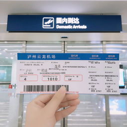2026年最新防坑指南！必须收藏！