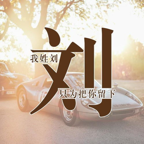 较大胆创崭新 vs 可靠牌选项