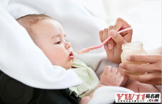 如何为刚出生的男性马宝宝挑选一个既吉祥又富有寓意的名字呢？