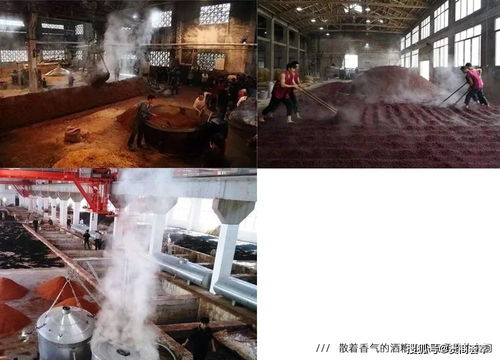 第一站：凌晨三点的“抢粮”仪式
