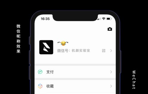 第一章：萌趣到底是哪些？