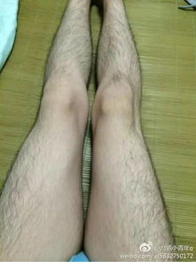 世界上谁有腿毛最较长？