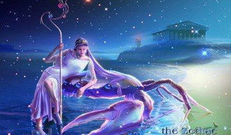 星座女郎大比拼