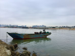 西安人周末逃离大作战：华清池算个啥？鲸鱼沟的竹子能把你扎哭