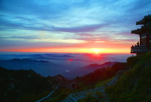 惯与鞋子的血泪教训