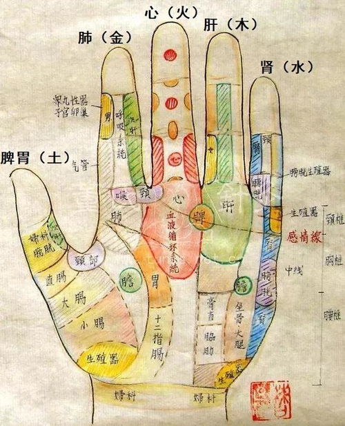 震惊！手掌上竟然有八个神秘鼓包？