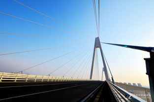 4. 辽河大桥：平平无奇的网红桥