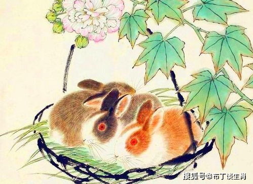 中秋过后是哪位生肖的月份呢？