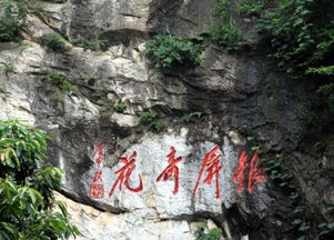 1.1 谢岗入口的“坑爹”指南