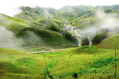 冷门宝藏地：最后的救命稻草