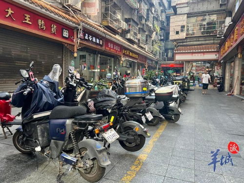 三、电动观光车怎样成为绿色使者？案例解析