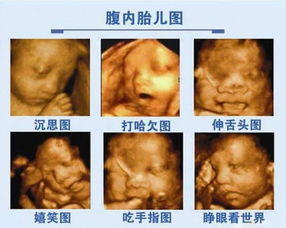 1. 传统观念里的“孕育”时间