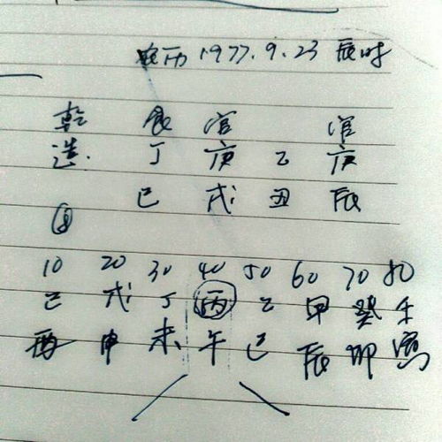 1977年农历九月初四已时出生的人运势如何分析？
