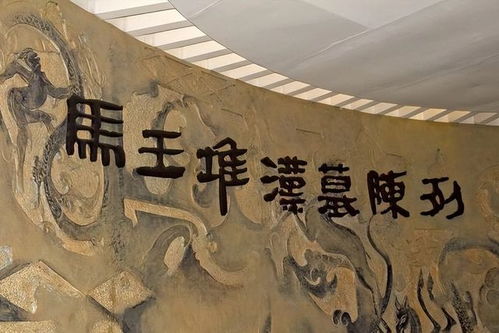 偶然发觉， 揭开千年古墓之谜