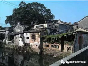 二、水善坊到底是个什么玩意儿？——从茶艺到“水疗”全套餐