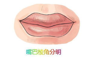 如何判断一个人面相是否显示为不干事或不能成事？