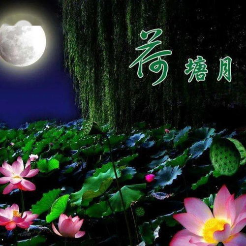 一、荷塘本体：月光里的湿漉漉