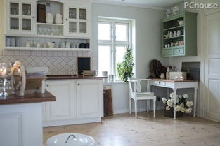 如何选择和摆放绿植？